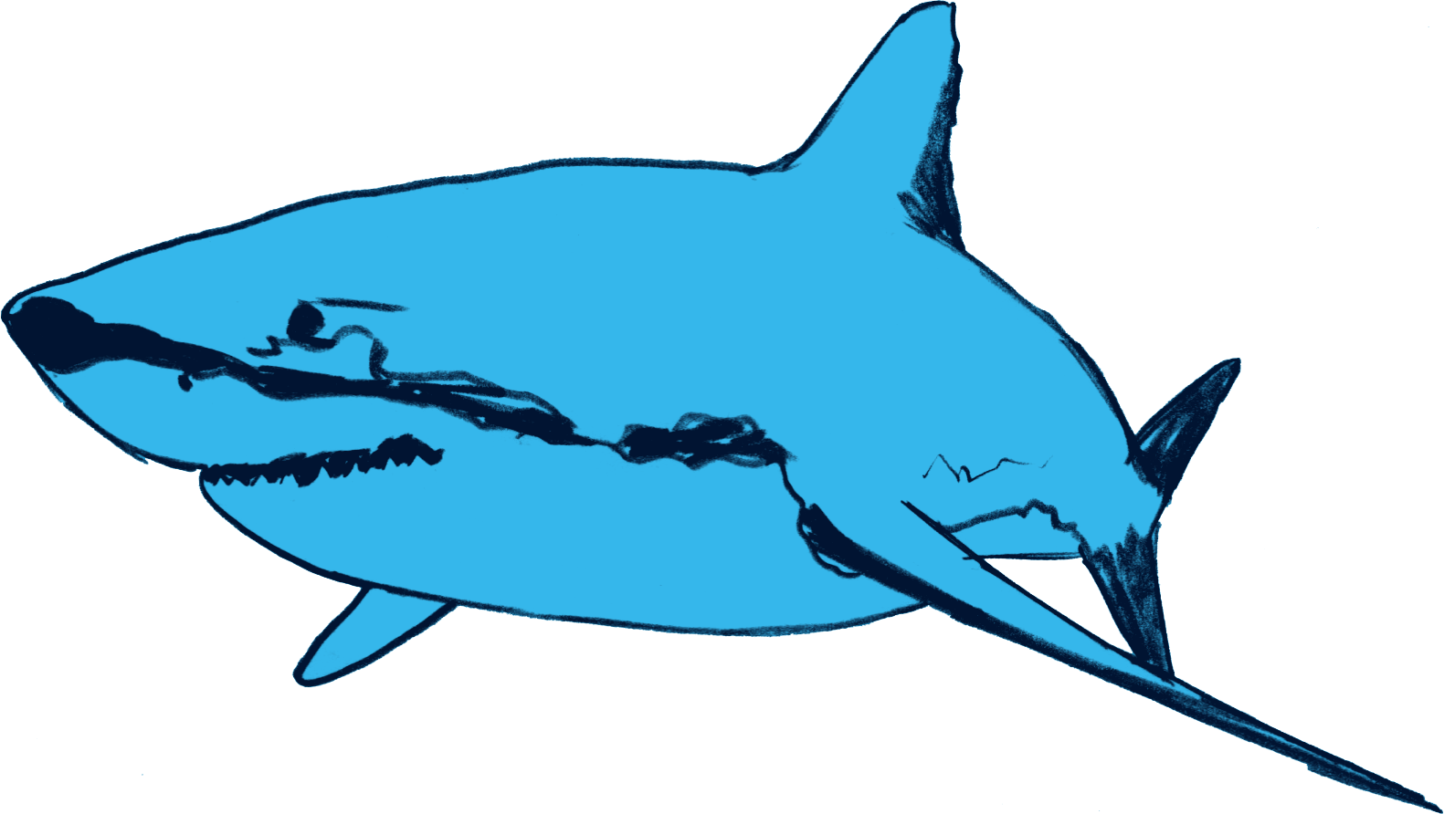 Shark - Shark (1581x892)