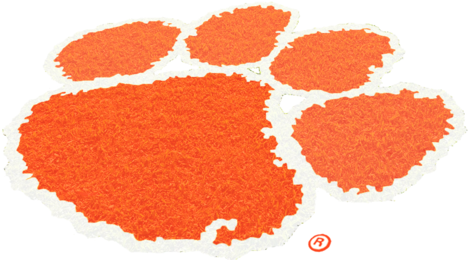 Clemson University (499x325)