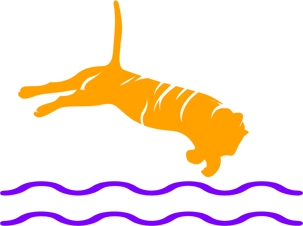 Clemson Club Swimming - Clemson (1050x807)