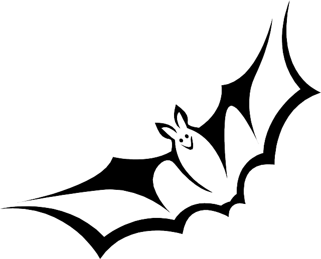 Black And White Bat (640x517)