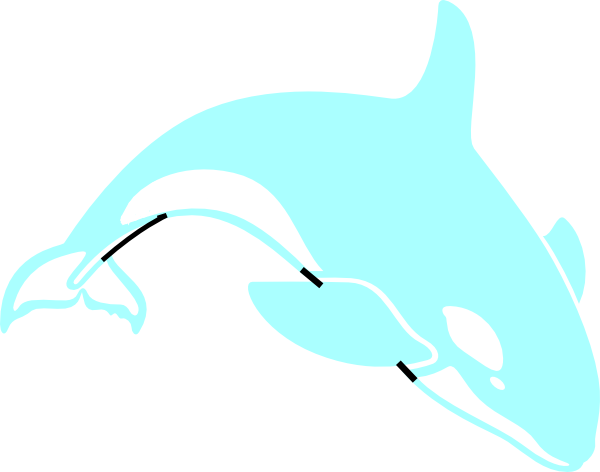 Tilikum Dead Body Sweatshirt (600x472)