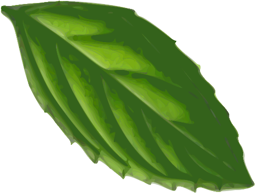 Mint Leaf Clip Art - Mint Leaf Clip Art (637x900)