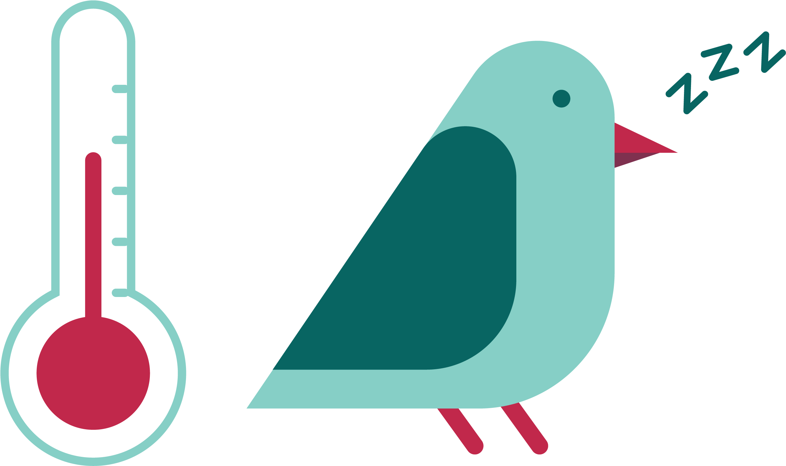 Fun Facts - Pdca Cyclus (3334x1667)