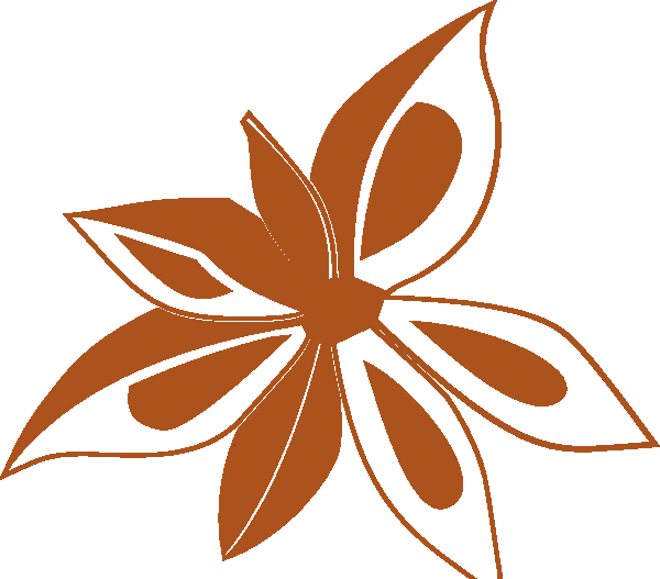 Spice 辛香料 - Star Anise Plant (600x527)
