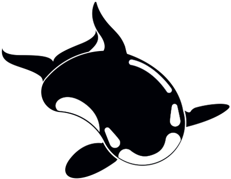 Norwegian Orca Survey - Killer Whale (686x500)