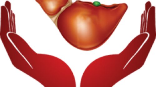 Age No Issue For Organ Donation - Essay (500x280)
