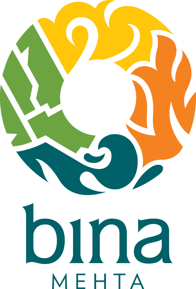 Bina Mehta Spice Blends - Ayurveda (628x924)