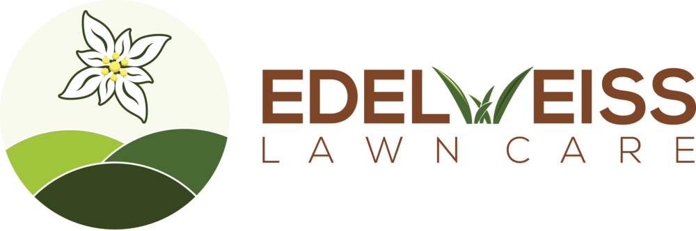   Lawn (1000x332)