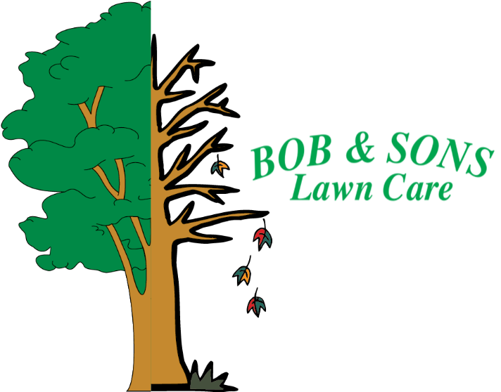 Lawn (752x586)