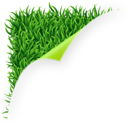 Corner Grass Png (425x425)