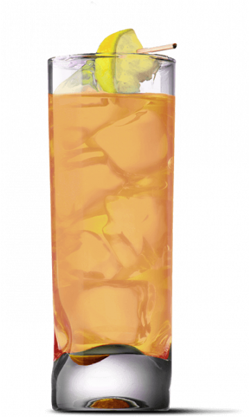 Green Ginger - Highball (389x600)