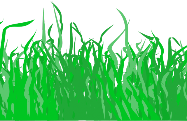 Lawn Clipart Divider - Lawn (640x480)