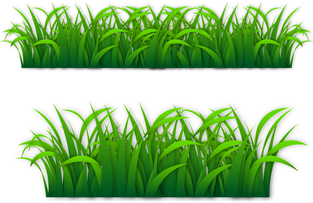 Euclidean Vector Grass Gis - Vector Graphics (1300x860)