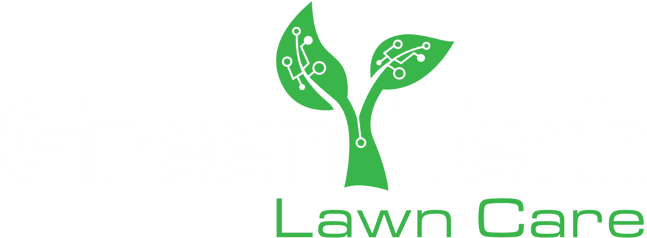   Lawn (1000x410)