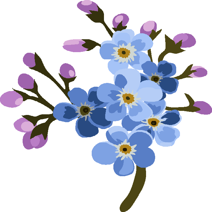 Rosa Glauca (675x675)