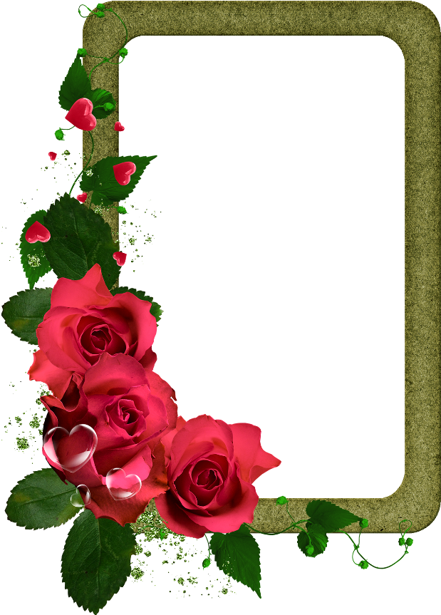 Forgetmenot - Frames - Teşekkür Ederim (650x894)