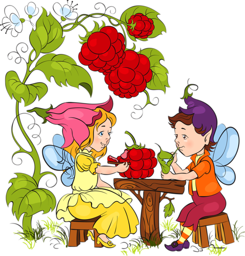 Raspberries - Fairy (478x500)