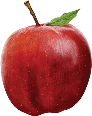 Apple - Apple (500x500)