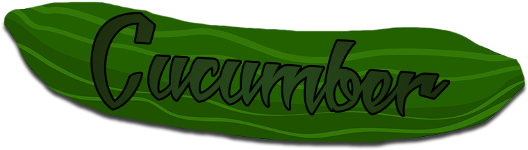 Banner (800x300)
