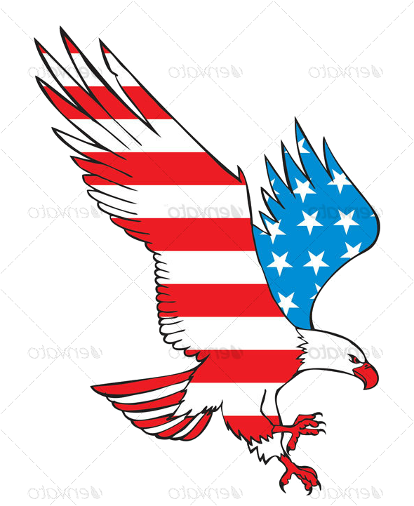 Eagle-flip - Hawk (590x721)