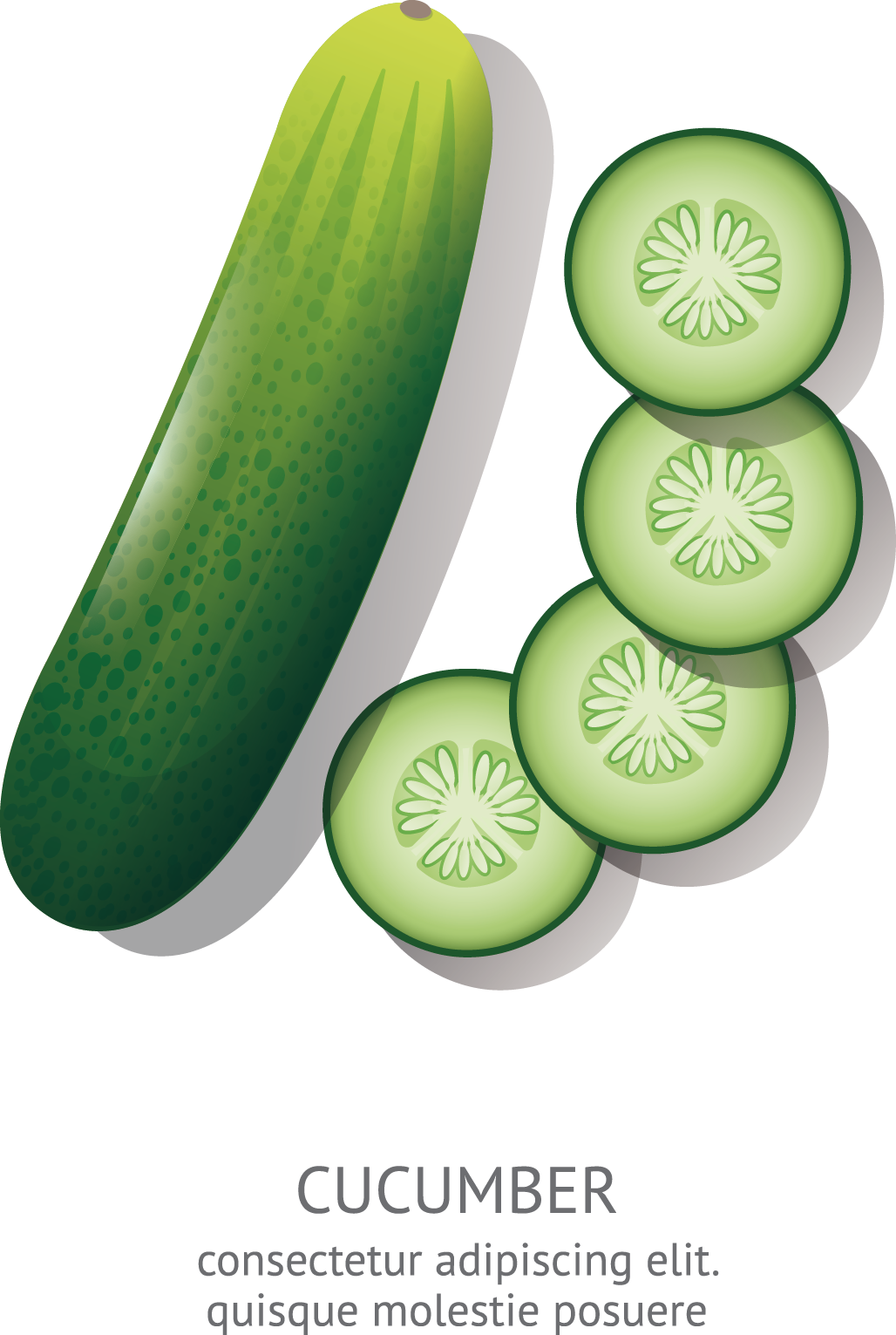 Cucumber Cartoon Animation Drawing - Cucumber Drawing (1028x1531)