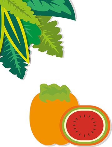 Clip Art (360x475)