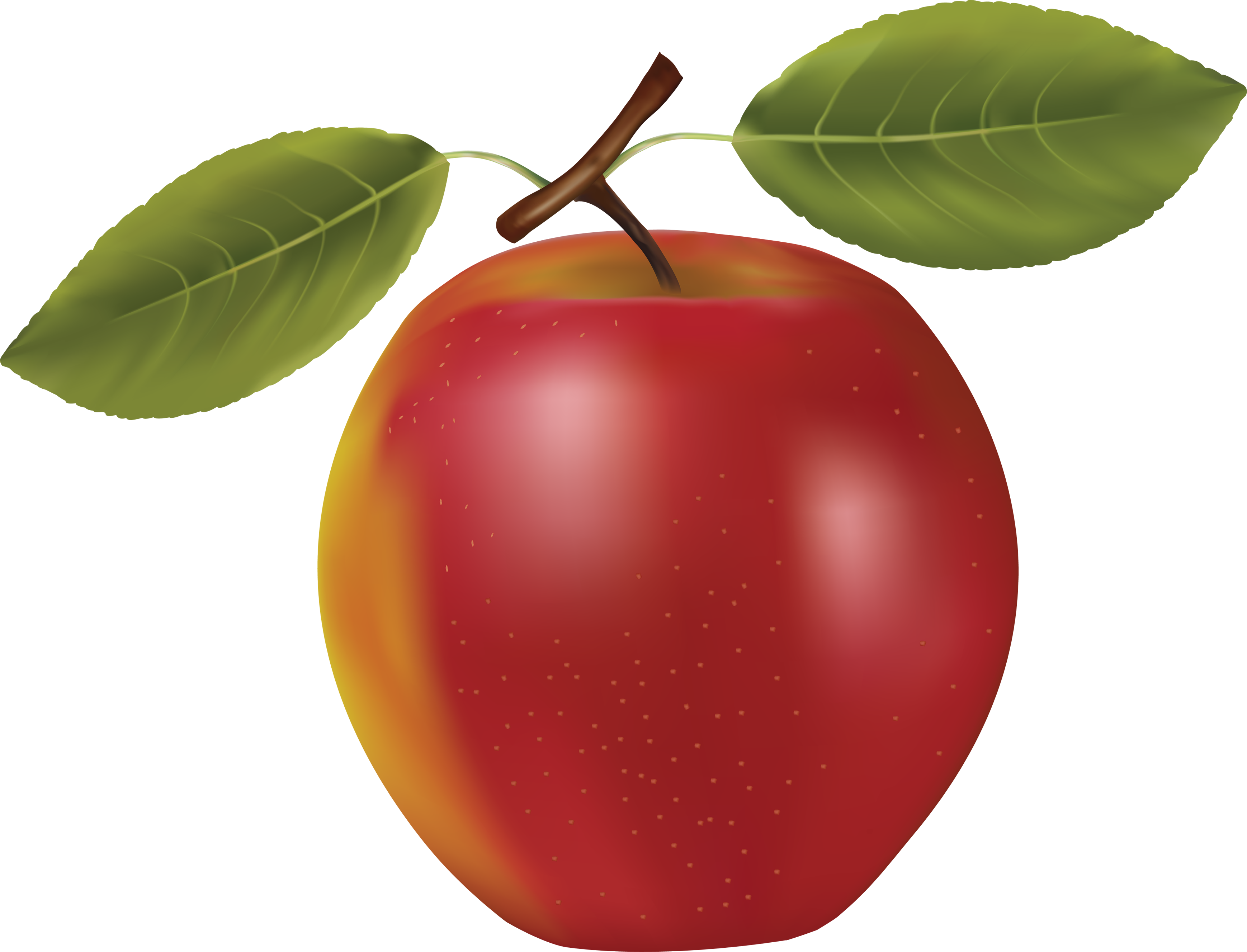 Fruits (3477x2655)