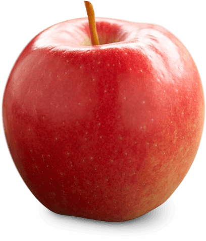 Red Apple - Ambrosia (500x500)