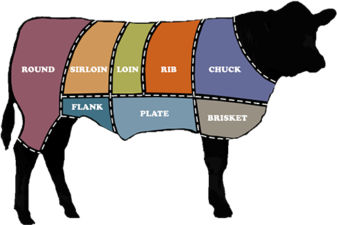 Beef Cut Chart Graphic - Dog Catches Something (500x348)