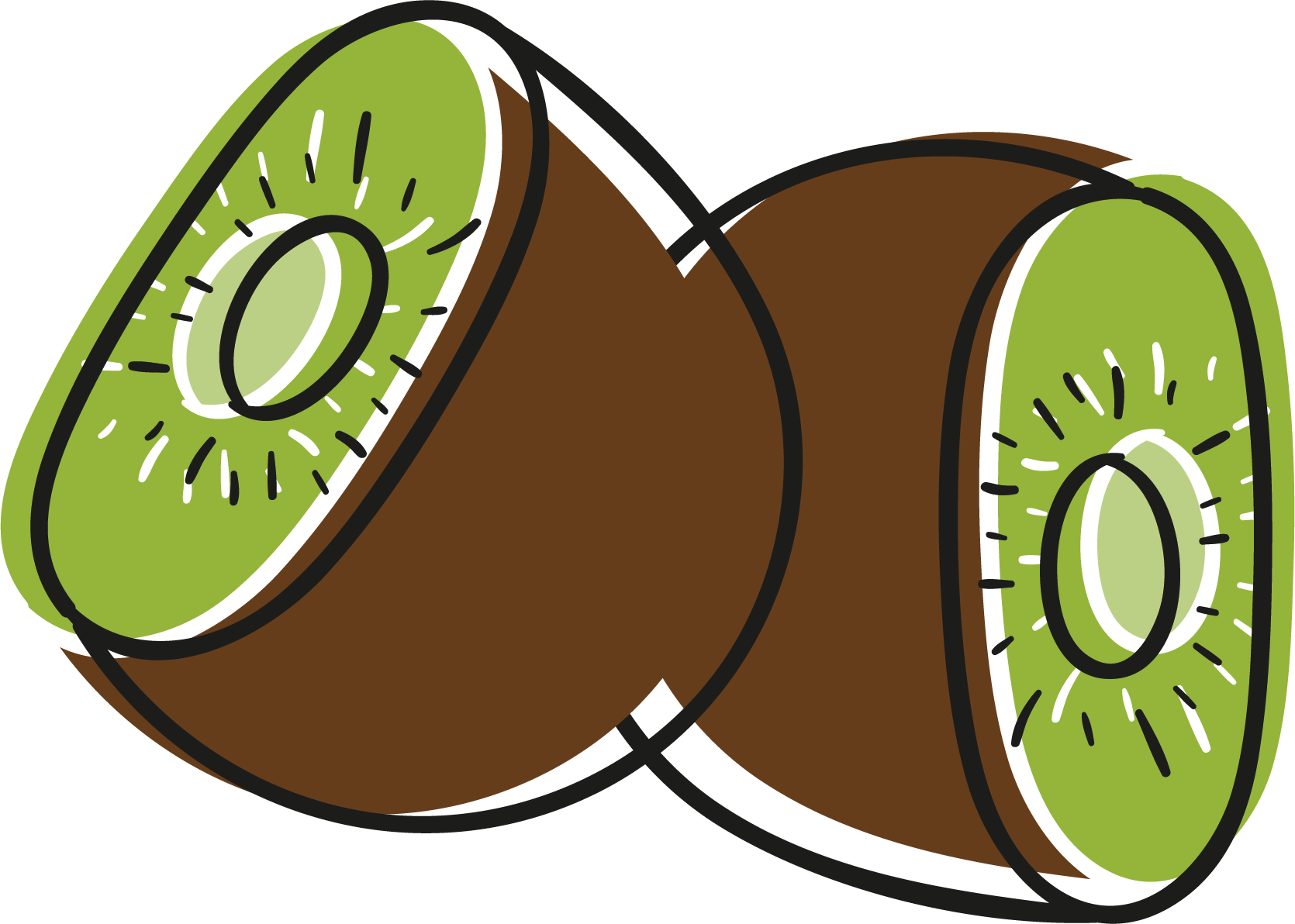 Vector Hand-painted Fruit Kiwi - Vector Hand-painted Fruit Kiwi (1670x1192)