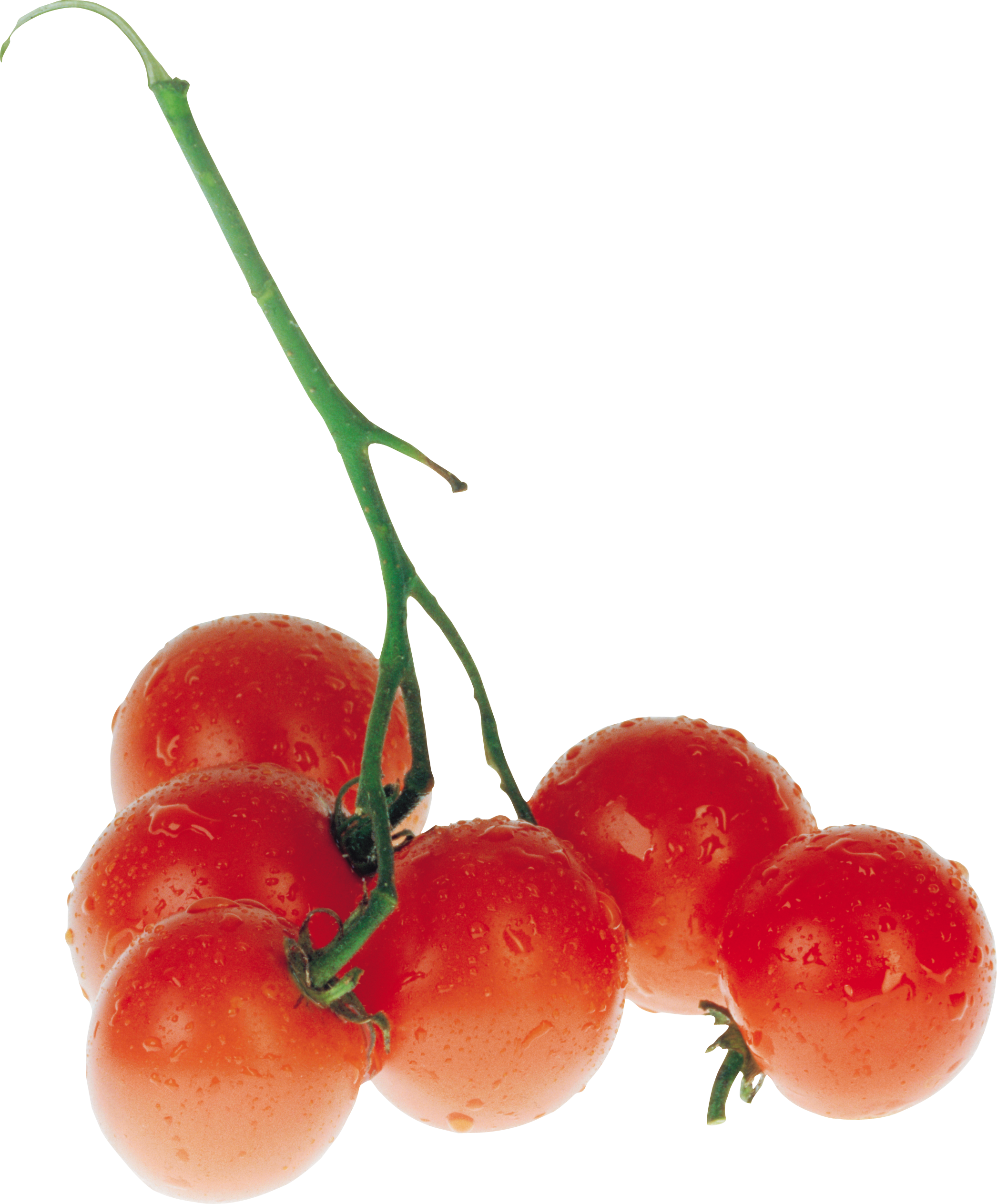 Download - Tomato (2092x2527)