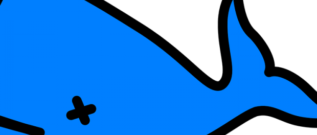 This - Cetacea (620x264)