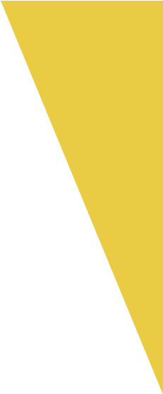 Yellow Triangle Yellow Triangle - Yellow Triangle (230x580)