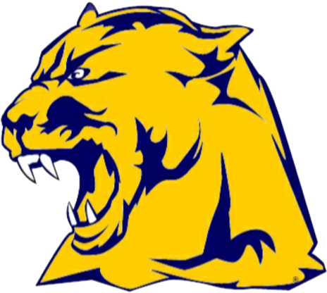 Whitmer High School Logo (480x433)