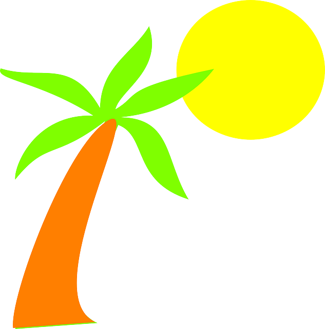 322 Tree, Image, - Stock.xchng (1266x1280)