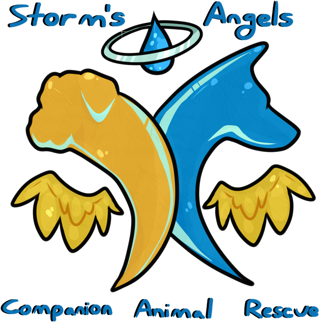 Storm - Storm (1080x1080)