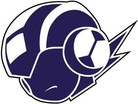 Gmonroy - Megaman Battle Network Icon (445x336)