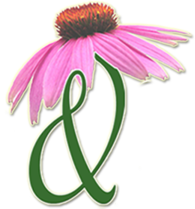 Purple Coneflower (420x420)