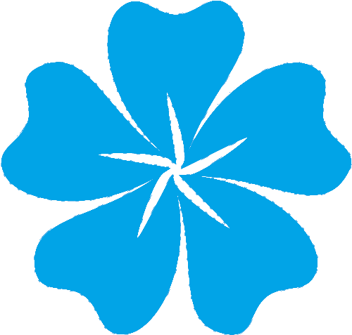Icon (512x479)