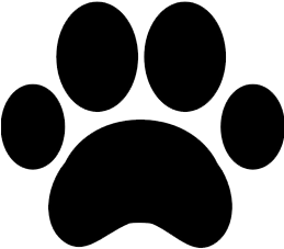 Call For Financing Options - Paw Print (350x350)