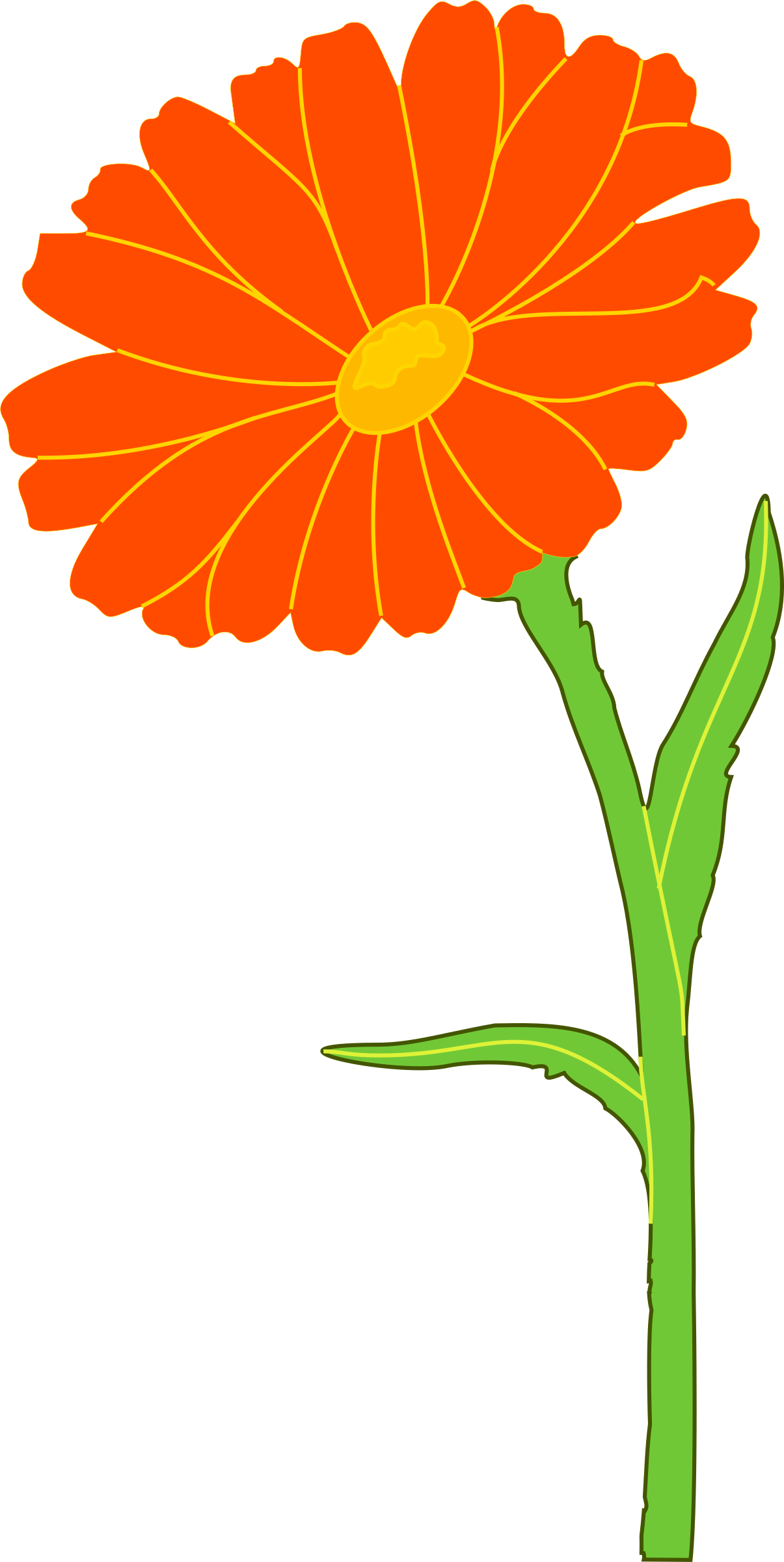 Big Image - Marigold Clipart (1205x2400)