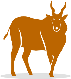 Eland - Illustration (500x334)