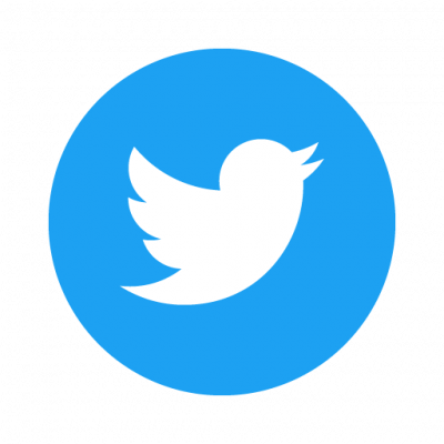 Twitter Icon Circle Vector - Mermaid Necklace, Gold Cz Mermaid Gift, Cubic Zirconia (400x400)