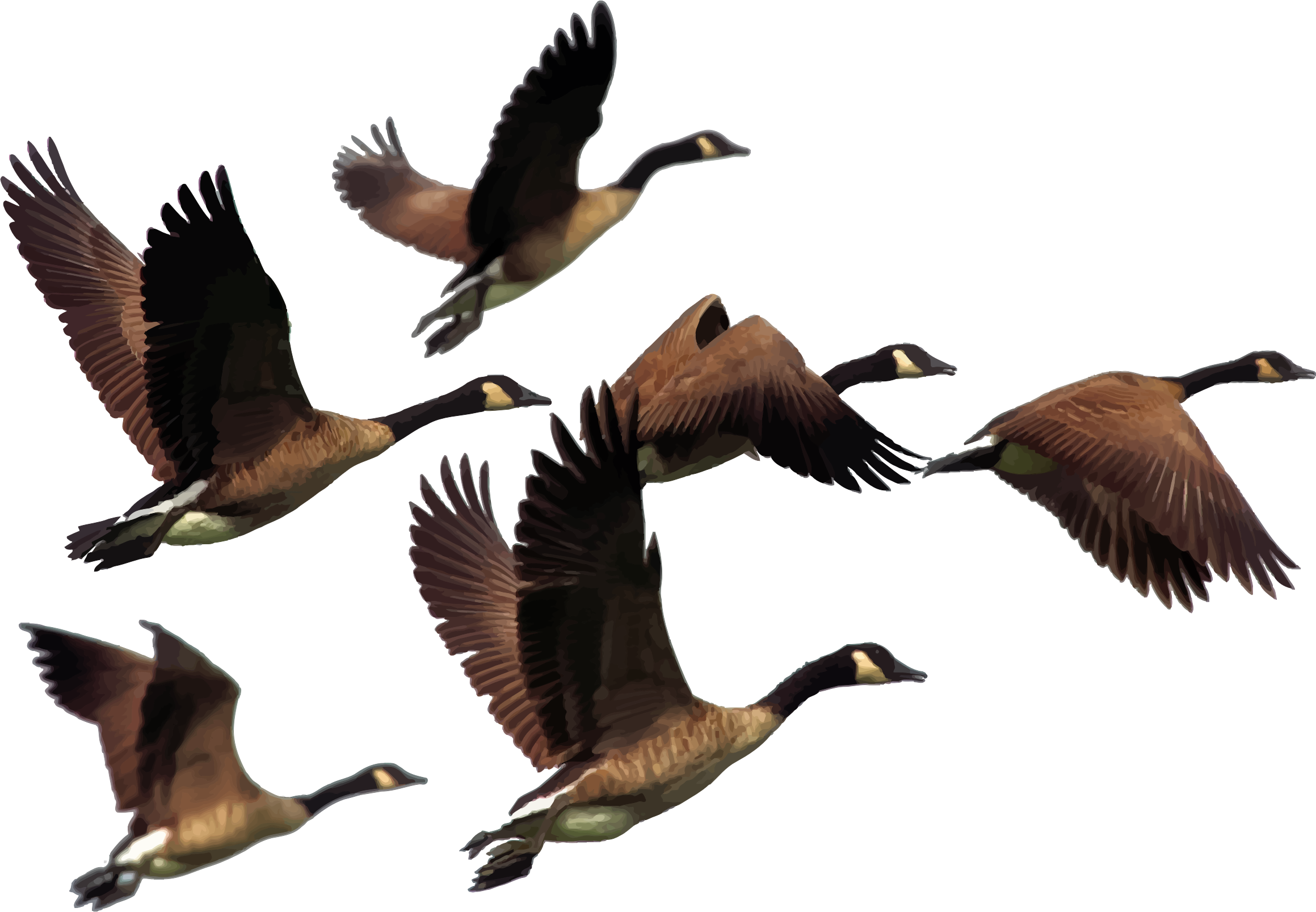 Clipart - Clipart (2319x1607)