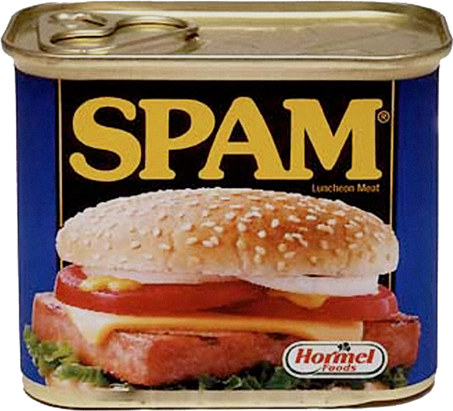 Firewall Spam Filter - Sliced Processed Alien Meat (2304x2118)