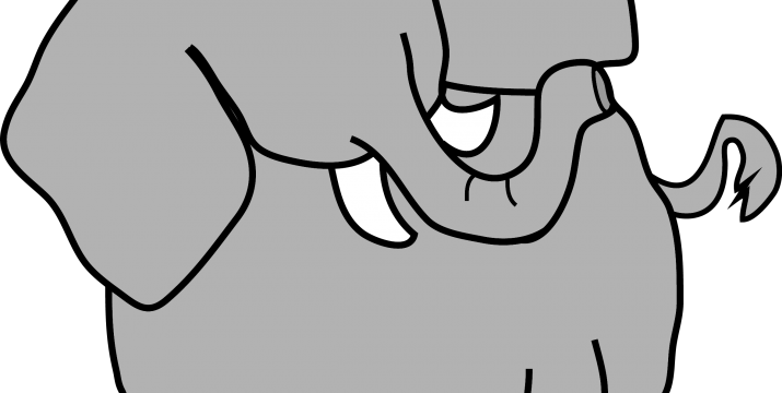 See - Elephants (715x360)