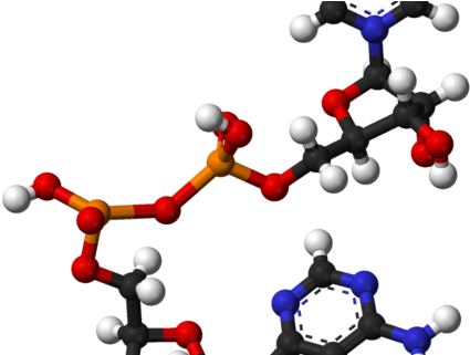 Post Navigation - Molecule (546x320)