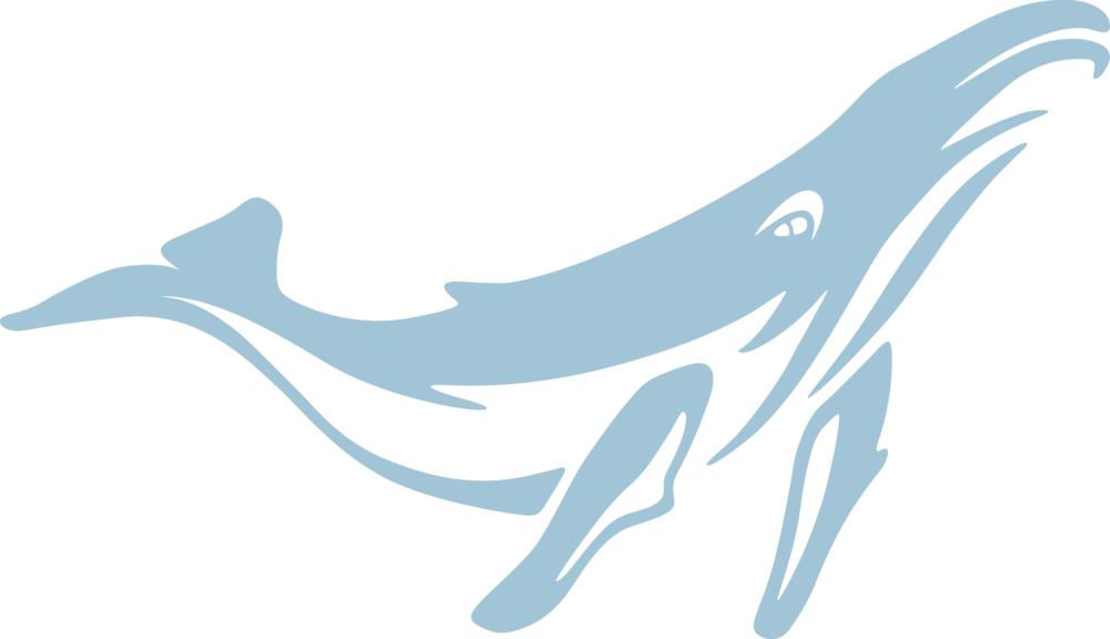 2018 Logo Vector - Portable Network Graphics (1000x576)