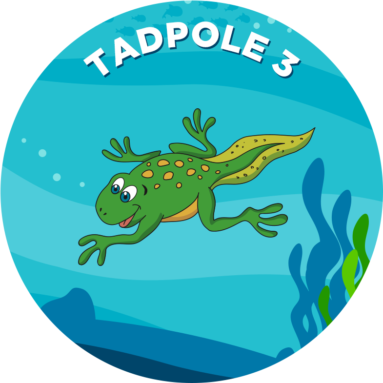 - Frog - - Frog (800x800)