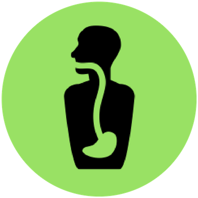 Stomach Icon Green - Portable Network Graphics (500x500)